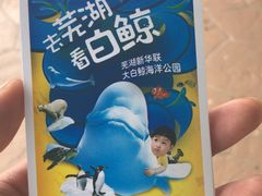 -芜湖新华联大白鲸海洋公园
