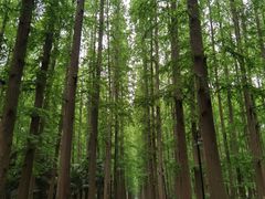 -上海怡沁园度假酒店