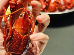天宝冰镇醉虾-天宝兄弟·湘菜龙虾馆
