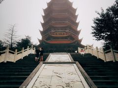 -铁山坪森林公园