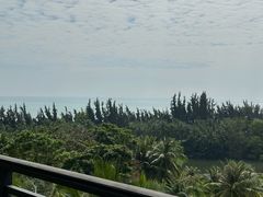 -海南清水湾莱佛士酒店