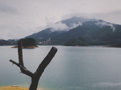 -广州市流溪河国家森林公园
