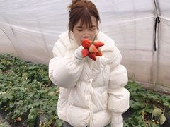 -小鱼草莓采摘园农家乐·小鱼餐厅