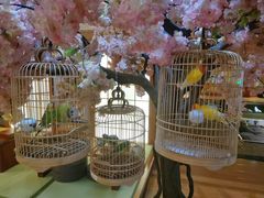 -汤泉良子(金源店)
