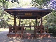 -大兴滨河森林公园