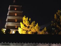 -大雁塔北广场音乐喷泉
