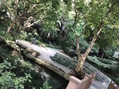 -香港大学