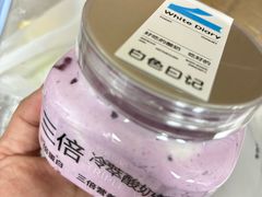 -白色日记·手作酸奶(麦凯乐店)