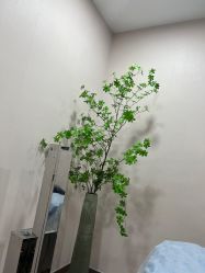 -上海首尔丽格医疗美容医院
