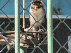 -秦皇岛野生动物园