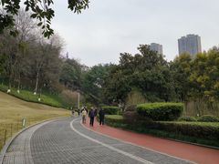 -龙头寺公园