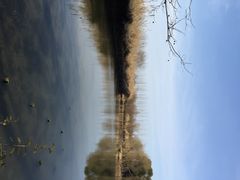 iphone_upload_pic-溱湖国家湿地公园