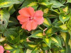 -水濂山森林公园