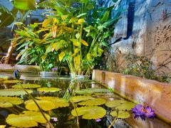 -国家植物园南园