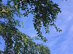 -丽泽山庄·生态怀柔菜·虹鳟鱼(红螺寺店)
