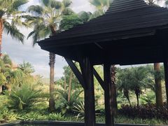 -广州都喜泰丽温泉度假酒店