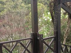 -杭州半山国家森林公园