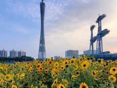 -海心沙亚运公园