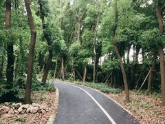 -七宝中学游泳馆
