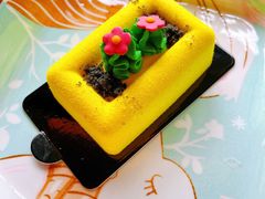 -三忘湖 SWANSEEN(柳荫公园店)