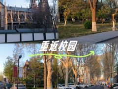 -山东大学(洪家楼校区)