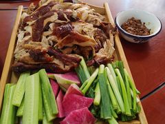 -东北田记家常菜