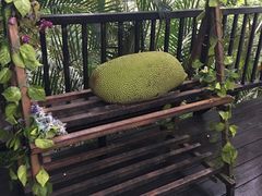 -呀诺达热带雨林