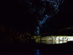 -怀托摩萤火虫洞