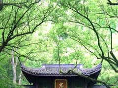 -虎跑公园