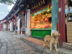 门面-七采菌园·野生菌石锅鱼(环城北路店)