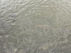 -农垦当壁镇兴凯湖旅游度假区