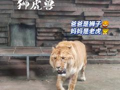 -宁波野生动物园