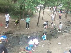 -白水寺森林公园