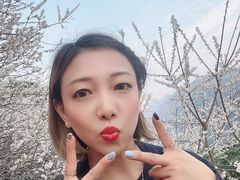 -广州市流溪河国家森林公园