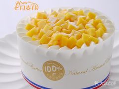 -维尔纳斯·生日蛋糕·动物奶油冰淇淋蛋糕(六里桥店)