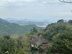 -三亚亚龙湾人间天堂鸟巢度假村