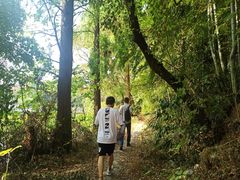 -青龙山国家森林公园
