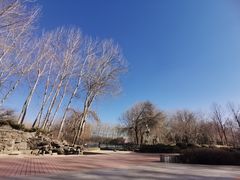 -仁和公园(顺义区)