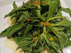 沙棘冰草-九十九顶毡房(阜石路店)