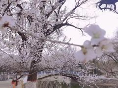-满都海公园