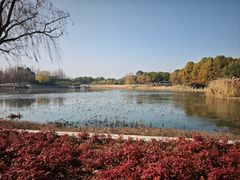 -阳澄湖半岛旅游度假区