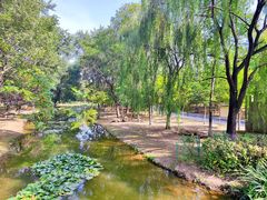 -长白岛森林公园