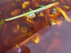 -自贡馆老字号(青江东路店)