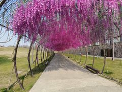 -嘉兴清池酒店温泉