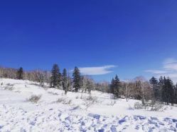 -大秃顶子山