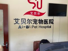 -艾贝尔宠物医院 ·内科全科(梁溪路店)