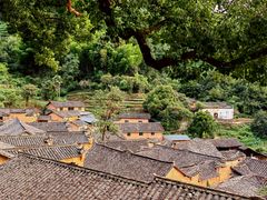 -杨家堂村