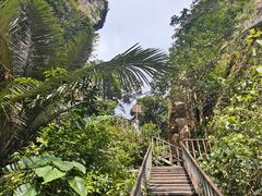 -七仙岭温泉国家森林公园