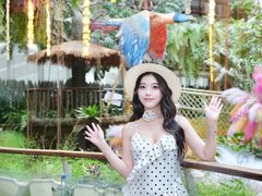 -正佳雨林生态植物园