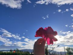 -段氏足疗养生馆(十年老店)